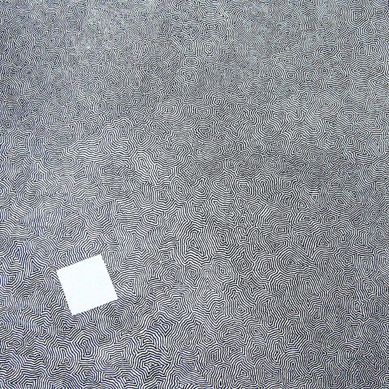 Image 15